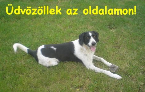 udvozollek.jpg