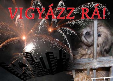 vigyazz_ra_2.jpg